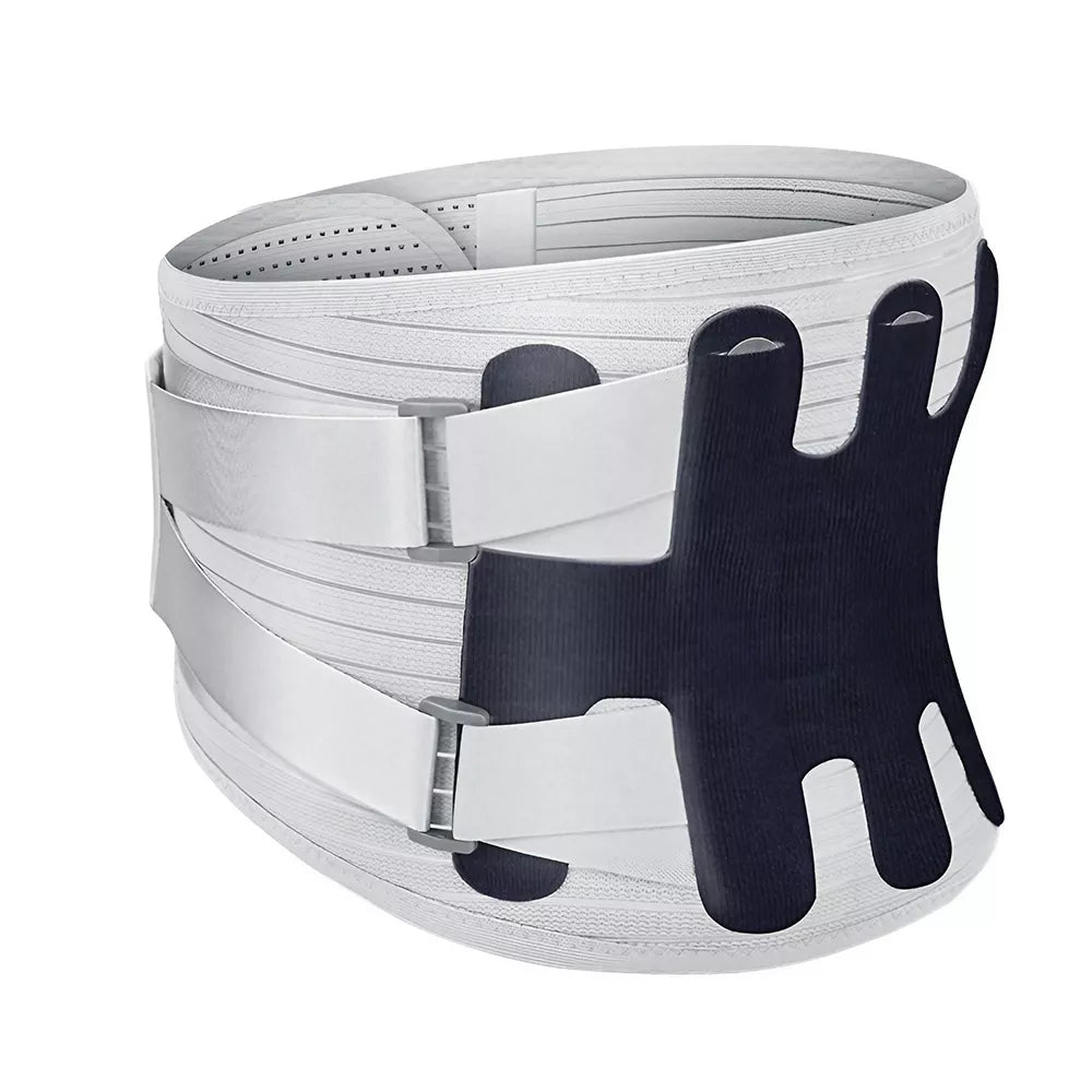 Back Support Belt